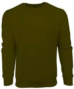 Basic Printed Boy's Full Sleeve Crew Neck Sweatshirt