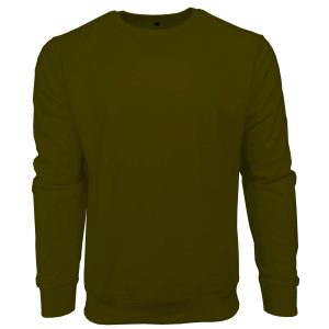 Basic Printed Boy's Full Sleeve Crew Neck Sweatshirt